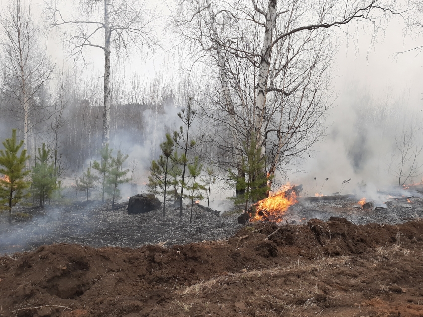 Пожар в заказнике «Цасучейсий бор» тушат почти 90 человек