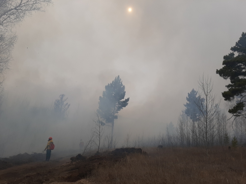 Читу накрыло дымом из-за лесных пожаров в соседних регионах