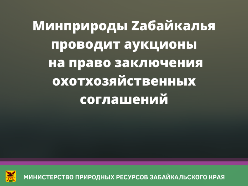 ​Минприроды Zабайкалья проводит аукционы на право заключения охотхозяйственных соглашений