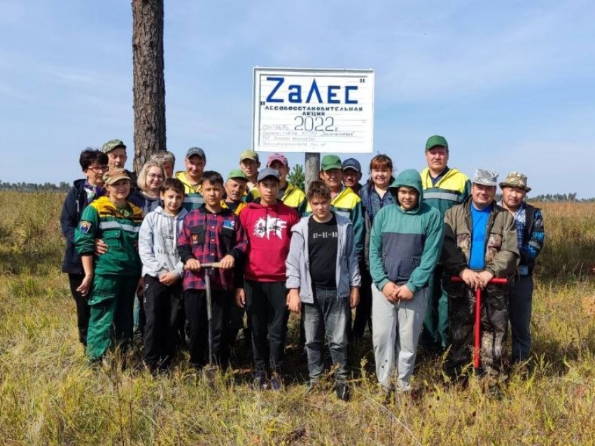 Каждый забайкалец может принять участие в краевой акции «ZаЛес» 