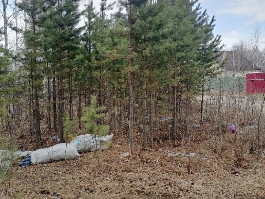 ​Минприроды Забайкалья: фотоловушки помогут в борьбе с незаконными свалками 