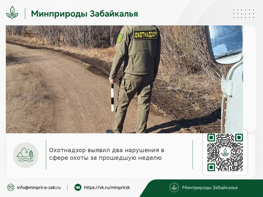 Охотнадзор выявил два нарушения в сфере охоты за прошедшую неделю