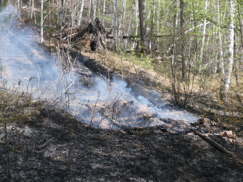 В Забайкалье ликвидировали три и локализовали четыре лесных пожара