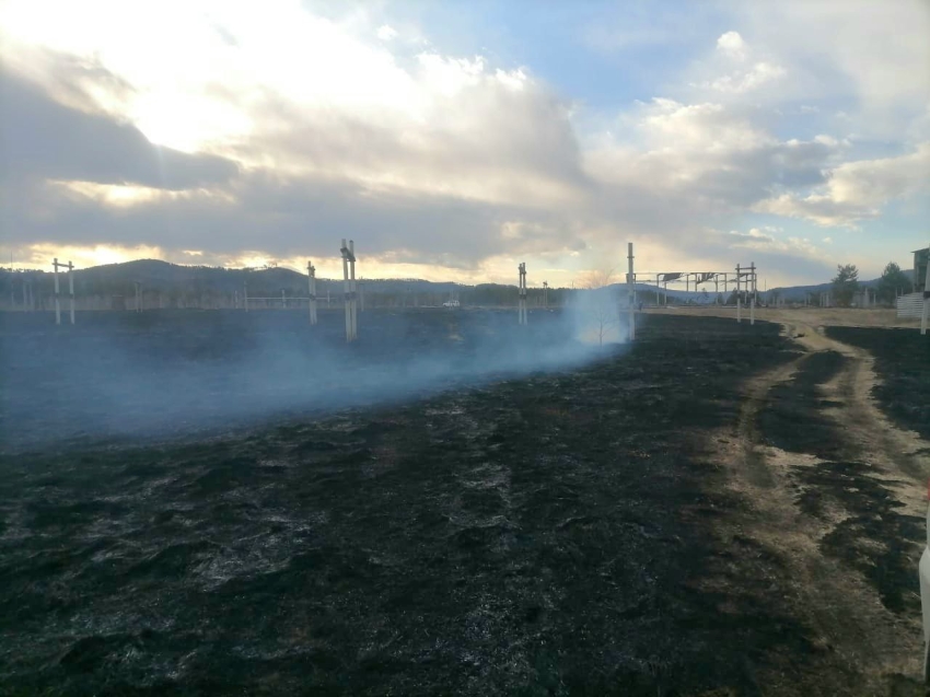 Виновника ландшафтного пожара в Читинском районе задержал сотрудник регионального Минприроды на месте правонарушения