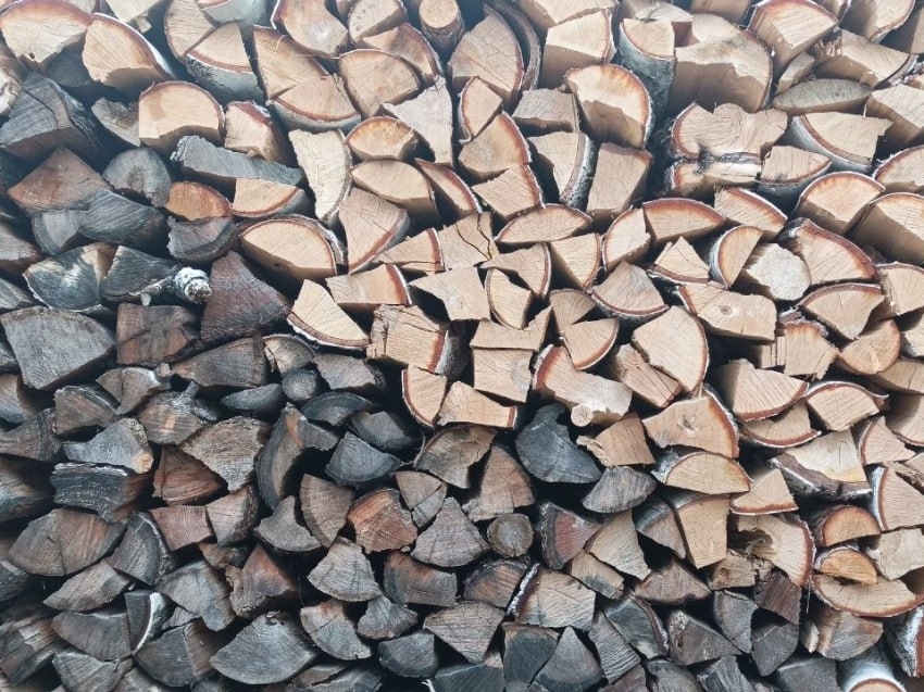 ​Квитанции за дрова семьи участников СВО могут получать в КГСАУ «Забайкаллесхоз» и у лесозаготовителей в районах