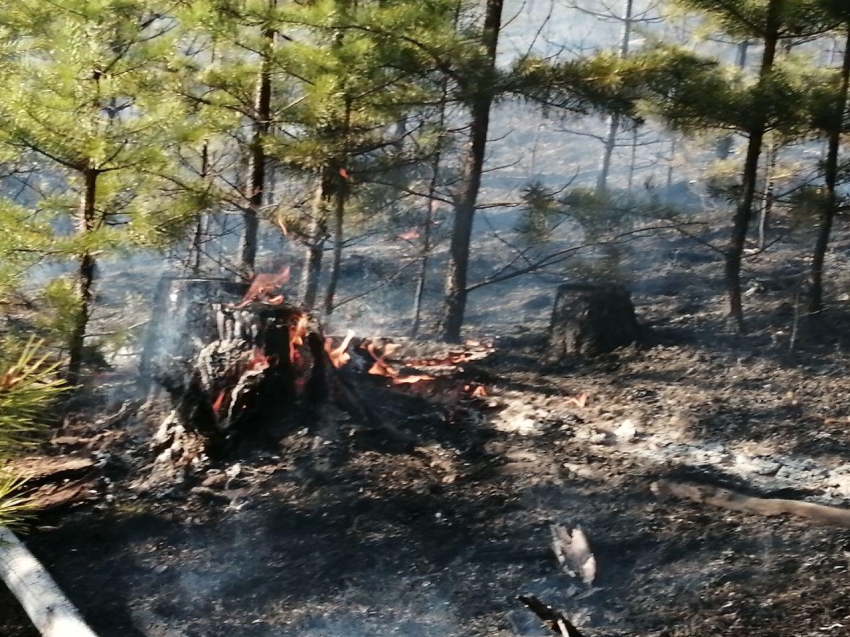 Лесной пожар ликвидировали в Нерчинском районе