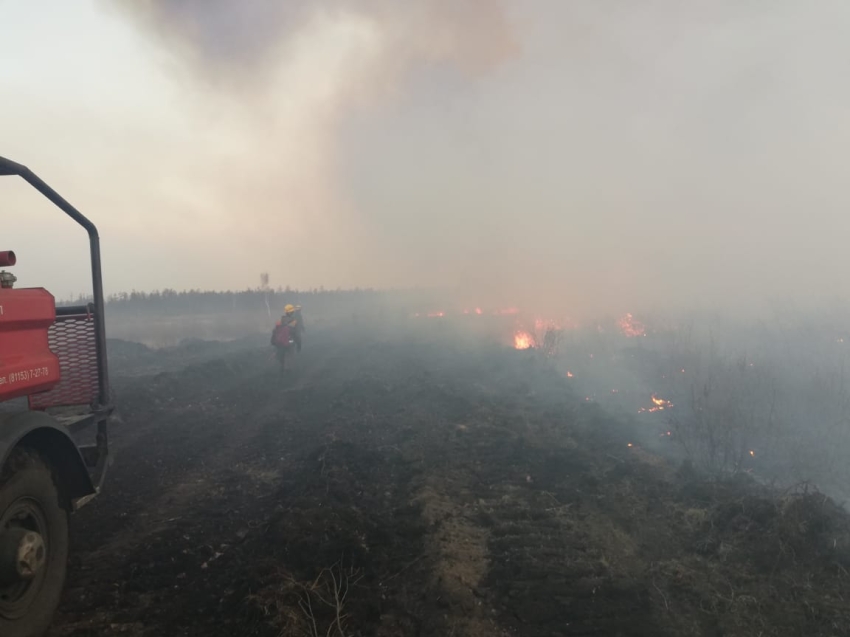 Пожар действует в районе станции Лесная на землях Минобороны РФ