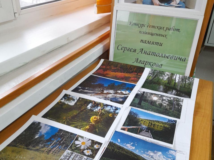 Итоги первого фотоконкурса «Сохраним леса» подвело Минприроды Zабайкалья 