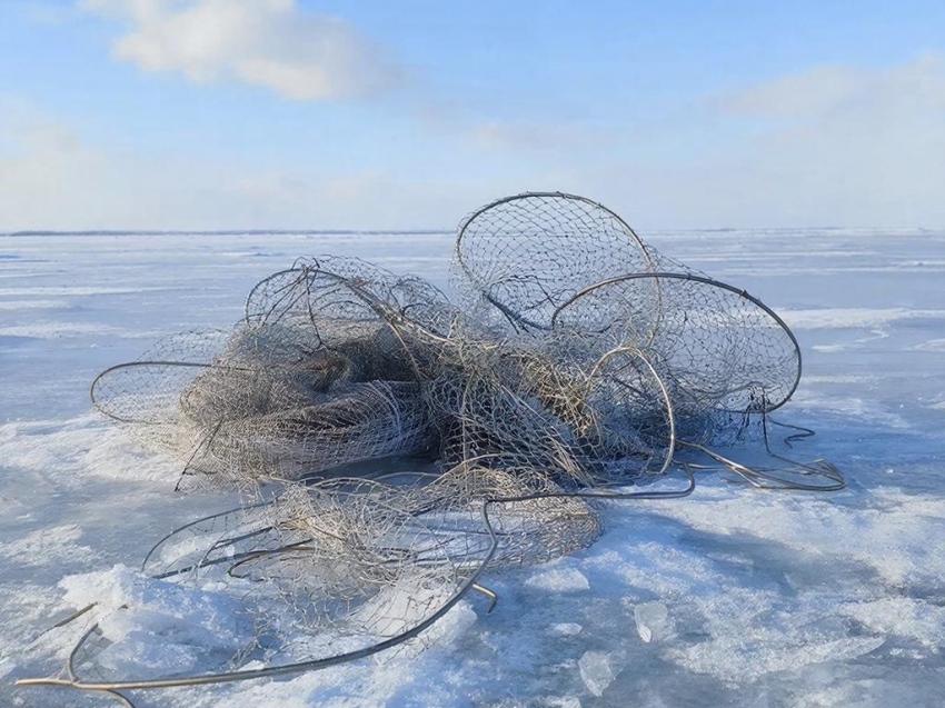 ​Сотрудники Ивано-Арахлейского парка извлекли более ста метров брошенных сетей из озера Иргень