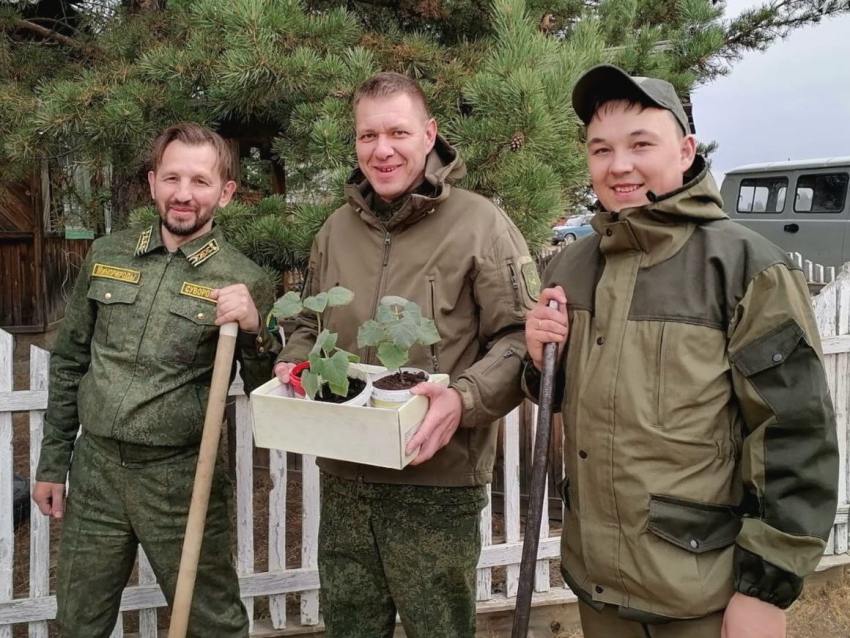 Саженцы необычного для Забайкалья дерева павловнии высадили в Кыринском лесничестве