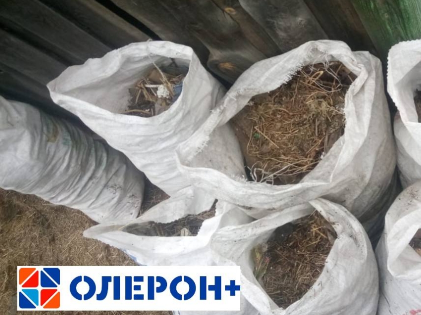Ботву и прочие огородные растительные отходы будет вывозить ООО «Олерон+» с 1 июля в Забайкалье