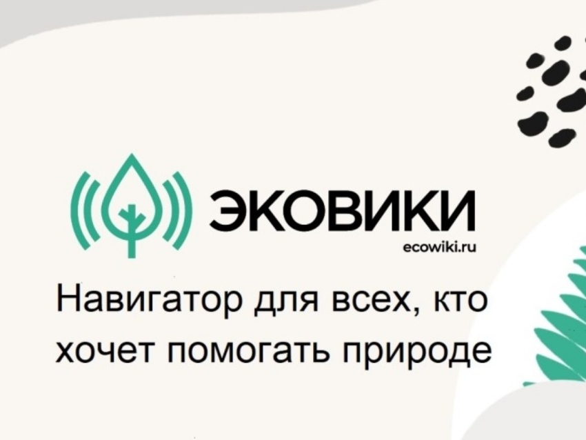 Забайкальцев приглашают принять участие в конкурсе от экологической общественной организации