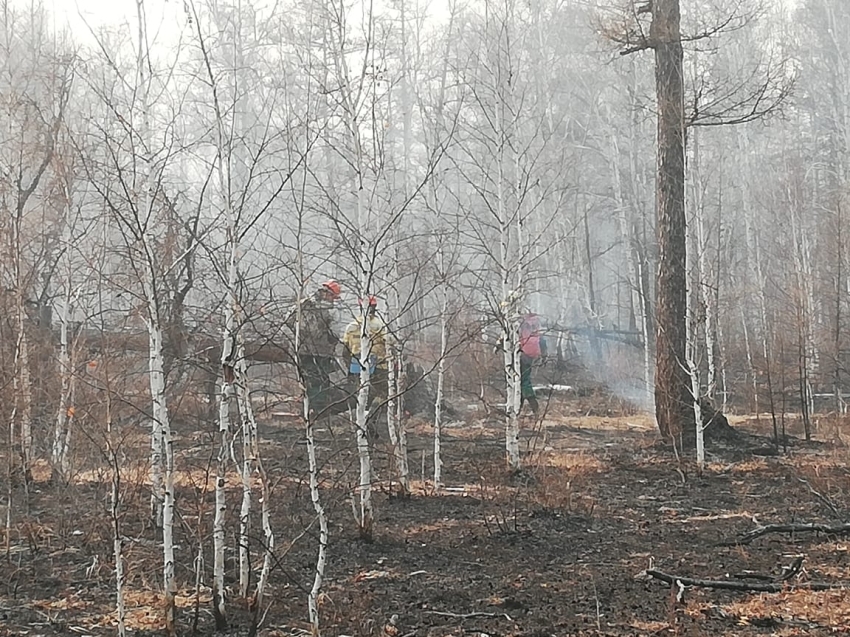 ​Восемь лесных пожаров ликвидировано за прошедшие сутки