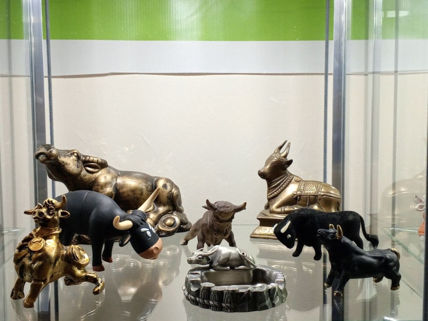 В Яснинском пансионате открылся необычный «мини-музей» коров