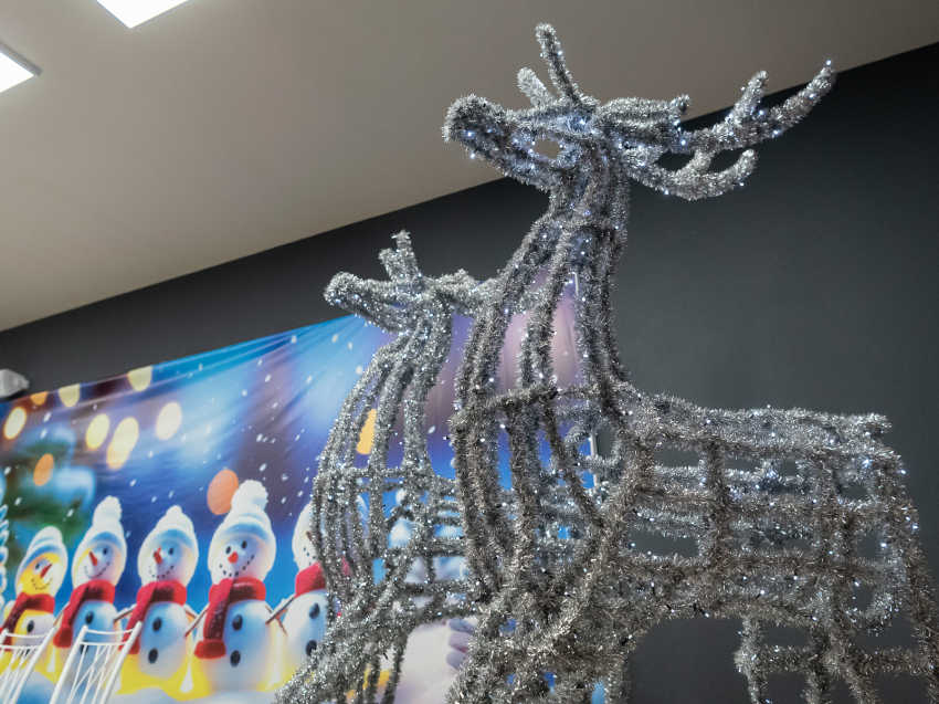 Тайны зимнего бала, забайкальский кёрлинг и музыкальные истории о светлом празднике. Как предложили встретить Рождество читинцам? 