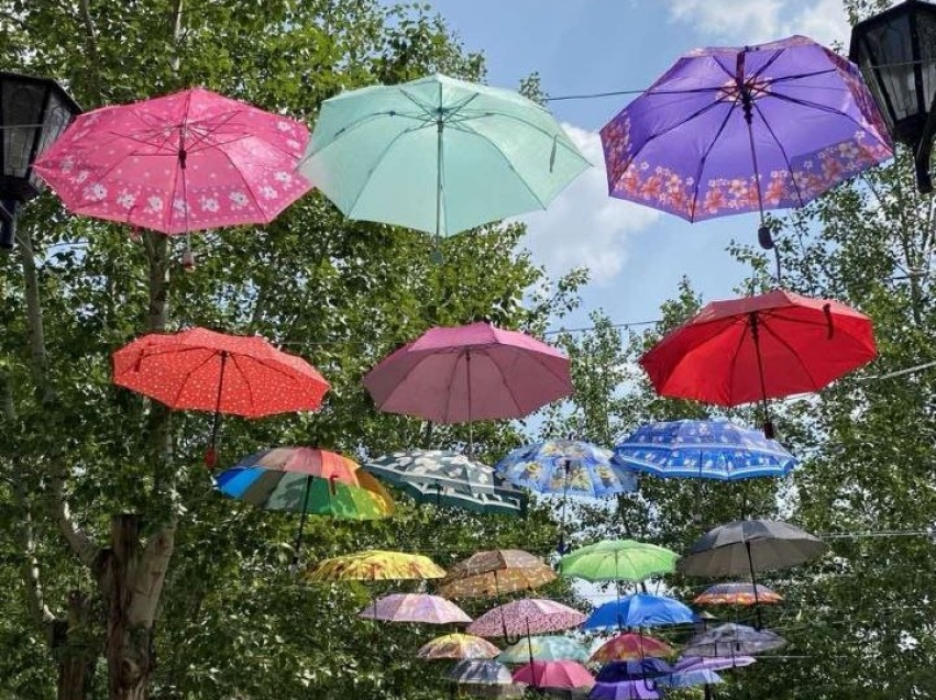 Фестиваль зонтиков проведут в Борзе в преддверии Дня семьи, любви и верности 