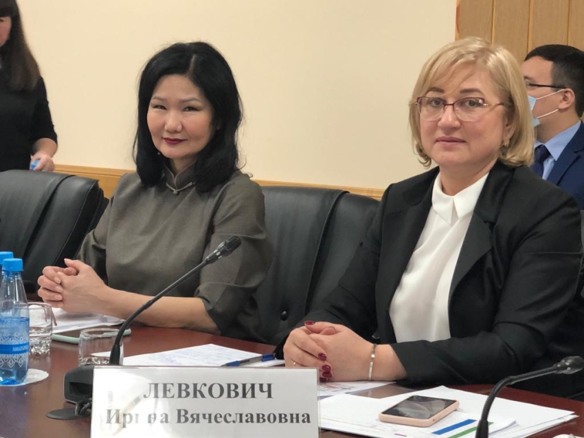 Ирина Левкович приняла участие в совещании с руководителями органов культуры ДФО