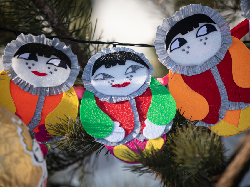 Бесплатные кинопоказы в Борзе и мастер-классы в Забайкальске появились на новогодней карте края