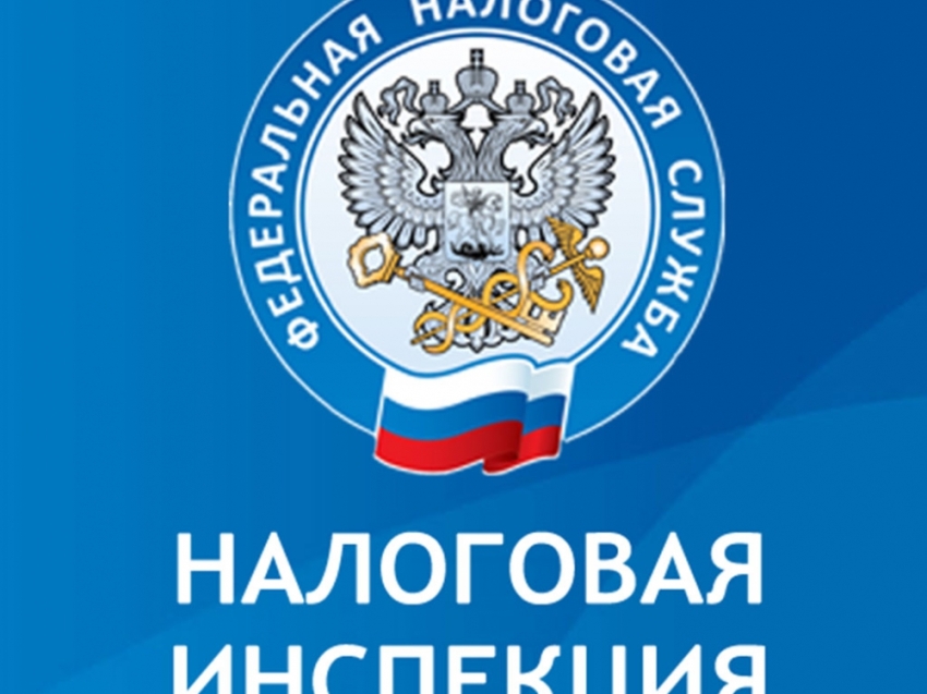 УФНС: Электронную регистрацию бизнеса выбирает всё больше забайкальцев