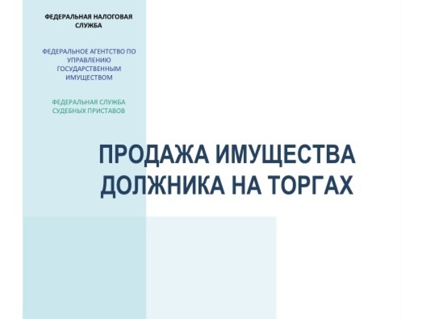 В налоговой рассказали, как купить имущество банкротов и должников