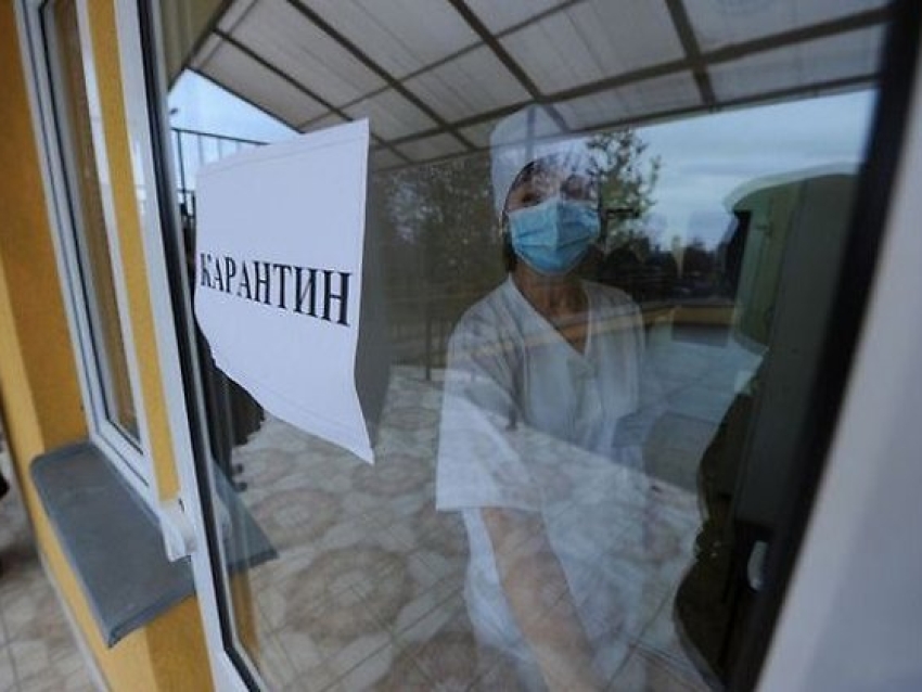 Карантин введён в селе Новоцурухайтуй из-за вспышки ящура