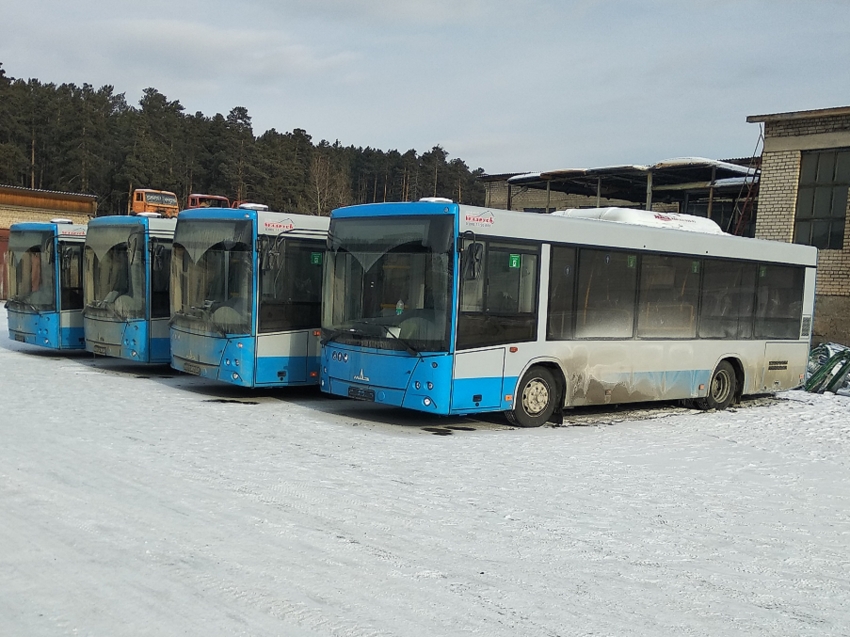 18 автобусов, приобретенных по дальневосточной субсидии в этом году, прибыли в Читу
