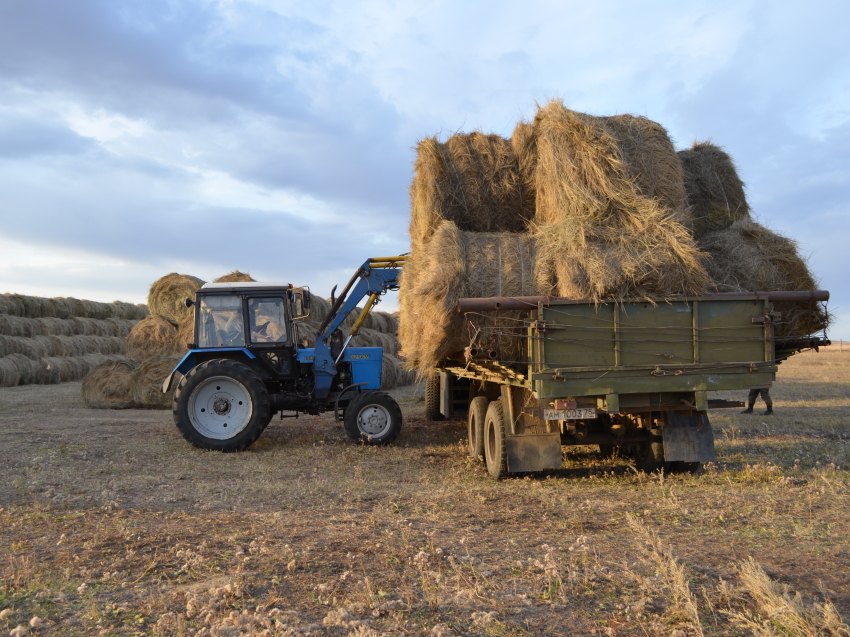 Порядка 139 миллионов рублей господдержки получат фермеры Забайкалья в 2020 году
