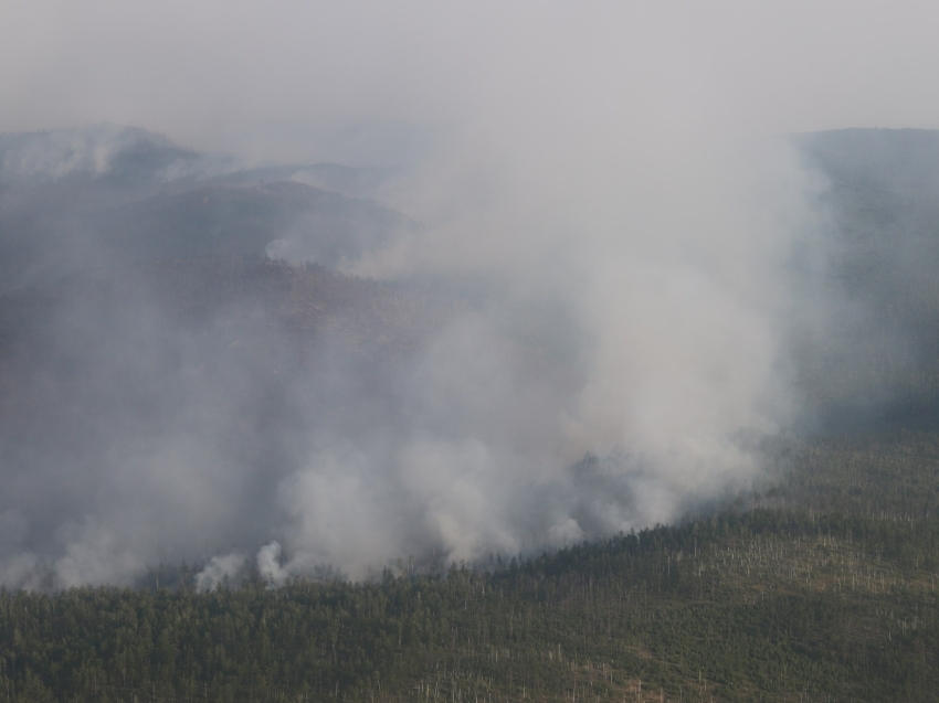 Борьба с лесным пожаром в районе села Беклемишево продолжается