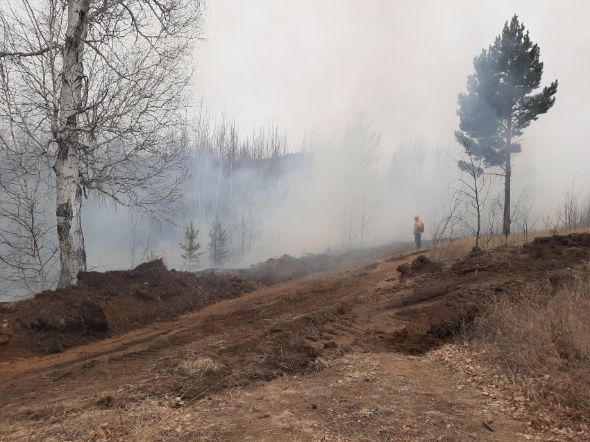 ​Палы на сенокосных угодьях - предварительная причина пожаров в Малетинском участковом лесничестве