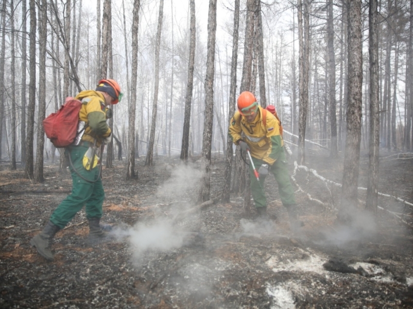 ​Продолжается тушение лесных пожаров возле четырех сел Читинского района
