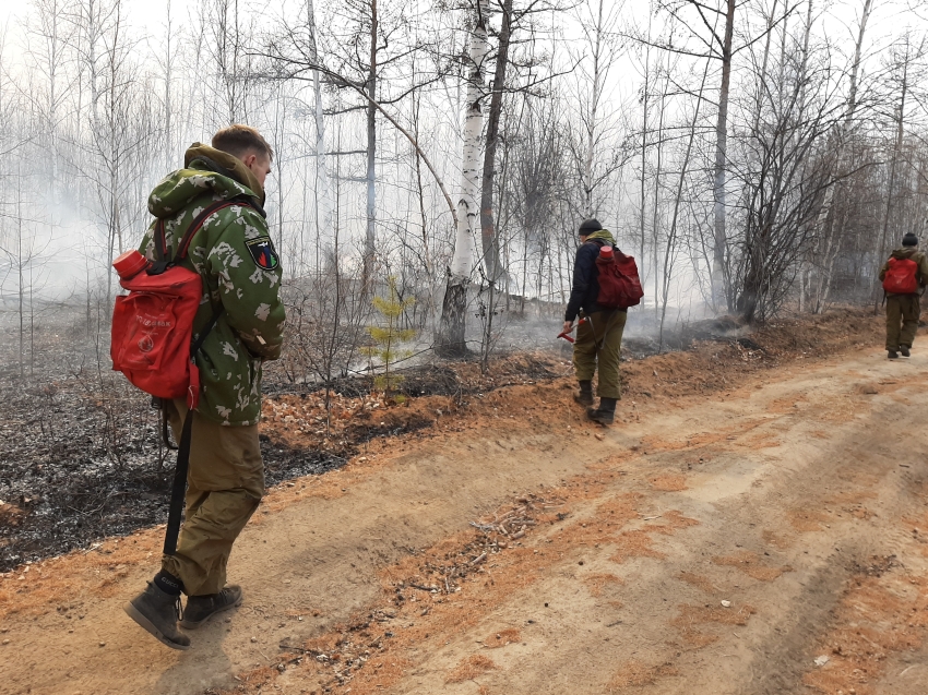 300 человек участвуют в тушении пожаров в районах Иван-Озера, Танхи и станции Лесная
