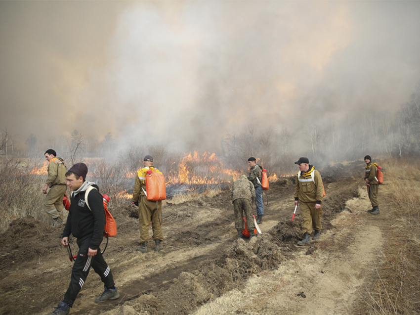 Александр Осипов рассказал о ситуации с природными пожарами в Забайкалье в эфире телеканала «Россия-24»