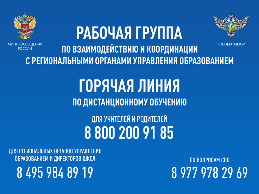 Горячие линии Минпросвещения России круглосуточно принимают вопросы по организации дистанционного обучения