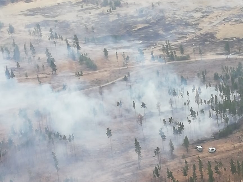 Лесопожарные формирования продолжают тушение лесных пожаров в Петровск-Забайкальском районе