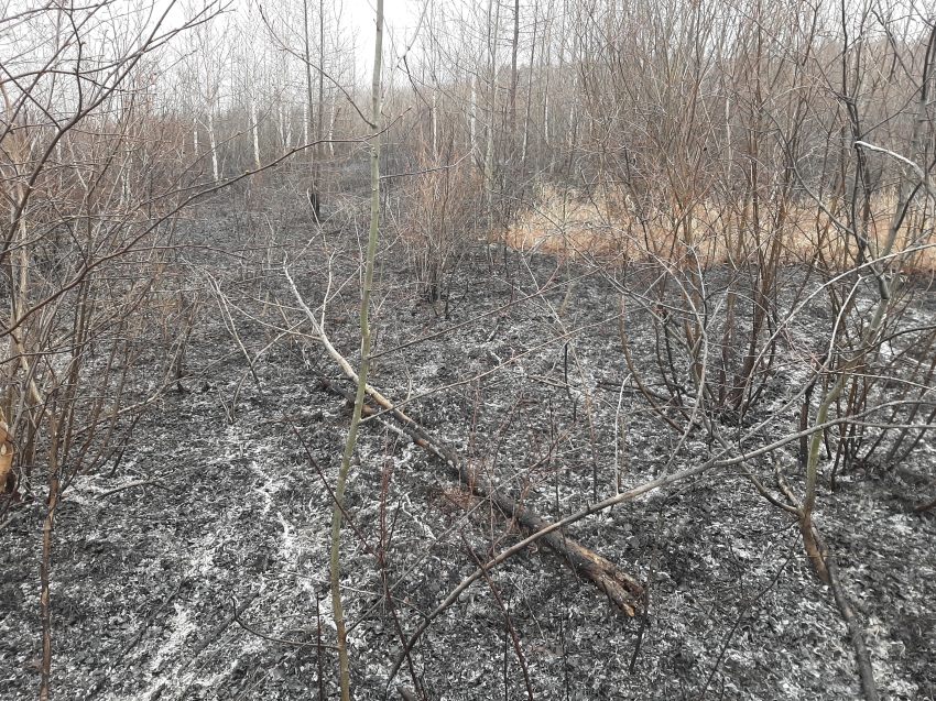 Пожар в районе Александровки локализован