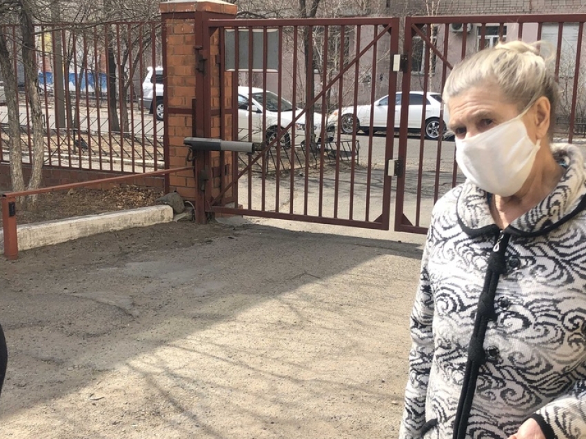 Временные электронные пропуска можно не оформлять при выгуле собак и для похода в магазин