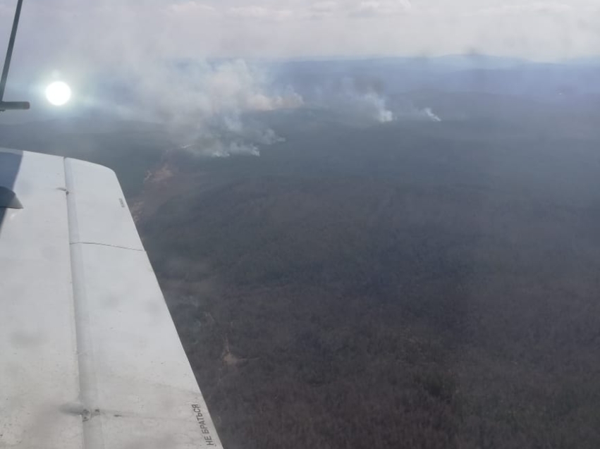 Лесопожарные формирования продолжают борьбу с лесными пожарами 