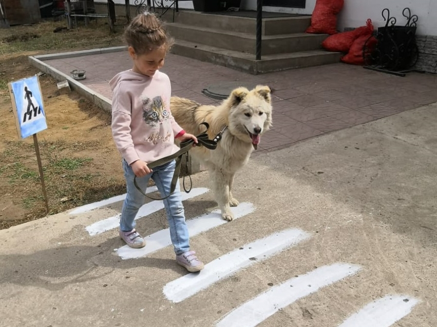 Читинские дошкольники изучают культуру безопасного поведения на дорогах