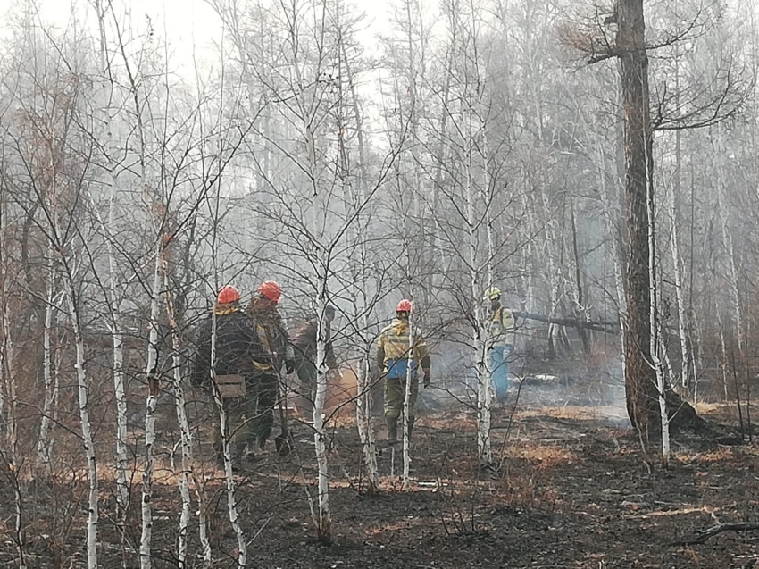 Минприроды: Два лесных пожара ликвидировано за прошедшие сутки