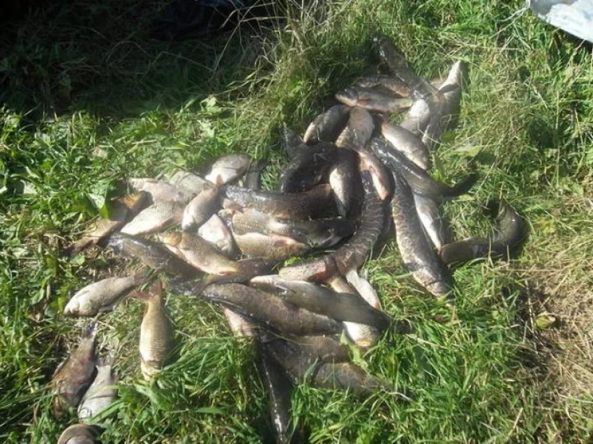 1,5 километра рыболовных сетей изъято у нарушителей  
