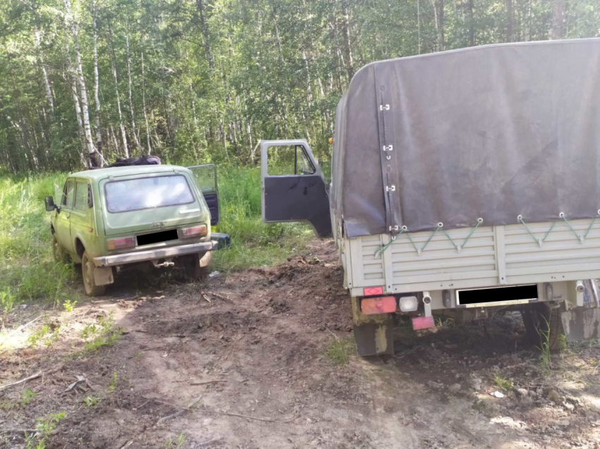 ​В Забайкальско крае задержаны нарушители, незаконно спилившие деревья