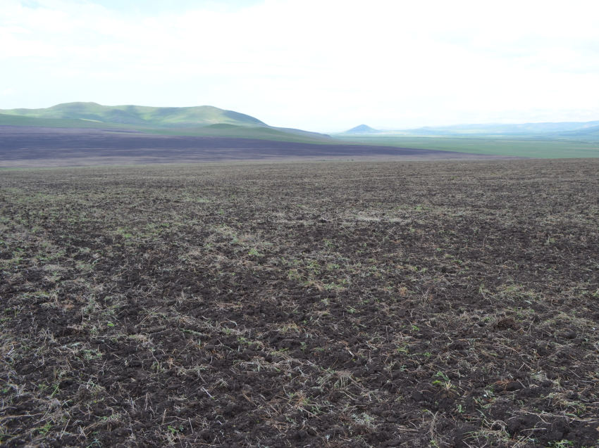 Забайкальские хозяйства подняли 18 тысяч гектаров залежных земель