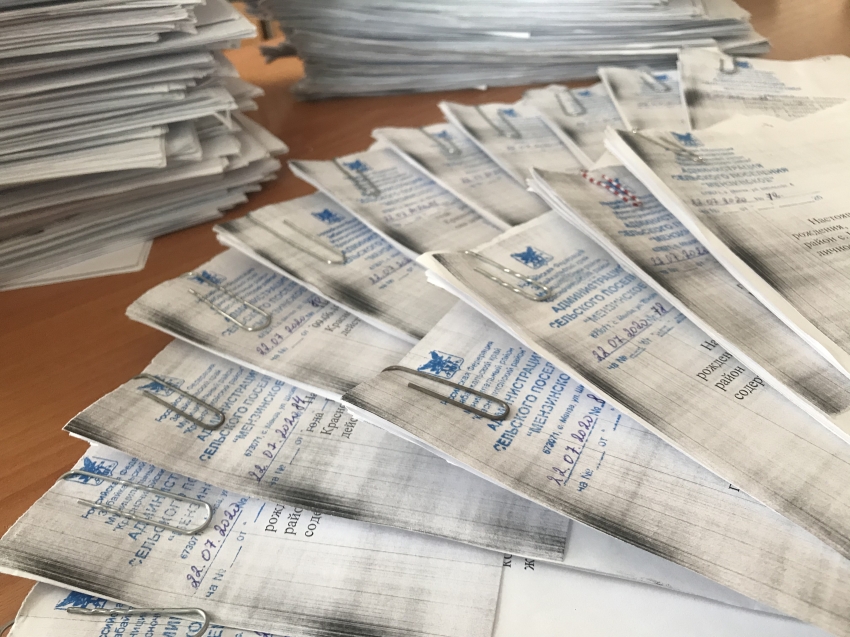Госветслужба:  Более 170 заявлений на возмещение потерь от африканской чумы принято  от жителей Красночикойского района