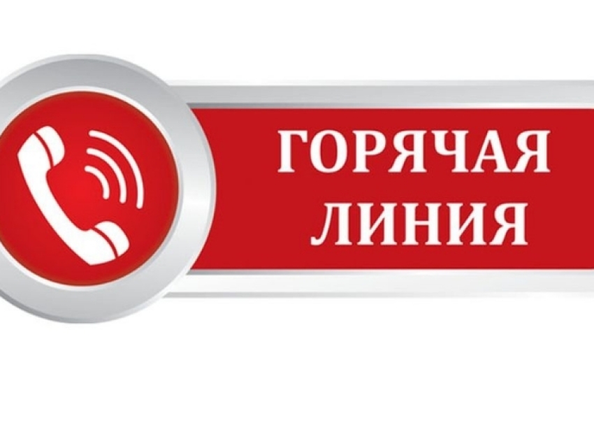 Горячая линия по вопросам предоставления бесплатного питания младшим школьникам работает в Забайкалье