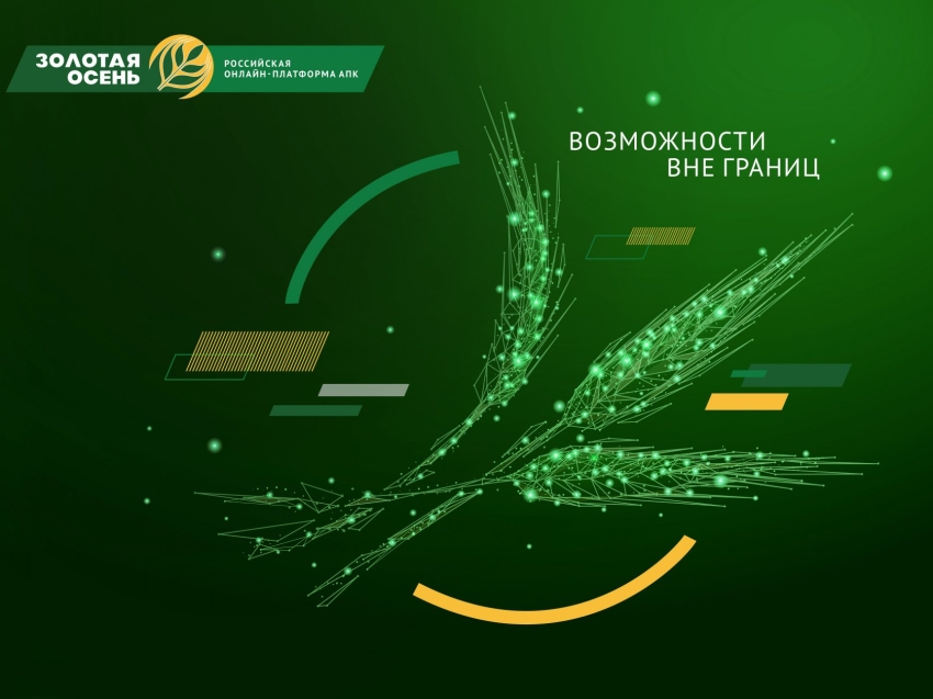 Онлайн-платформа позволит аграриям Забайкалья установить деловые контакты 