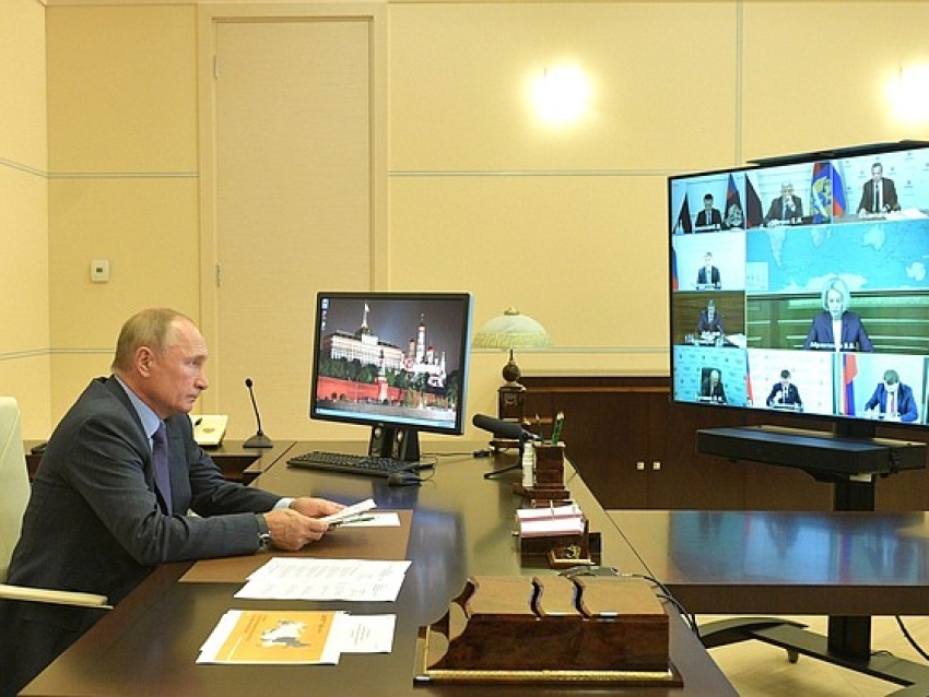 Владимир Путин поручил запретить с 2022 года экспорт необработанной древесины