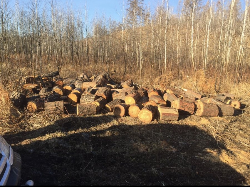Норматив заготовки дров в Забайкалье будет уменьшен 
