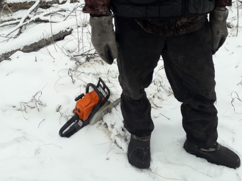 ​В Петровске-Забайкальском районе местный житель вновь незаконно срубил деревья