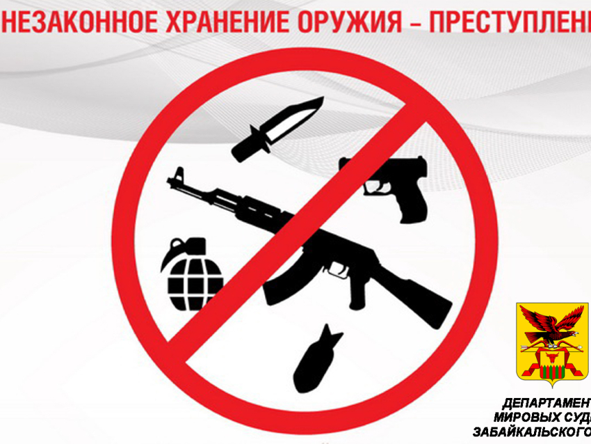 Мировые судьи в Забайкалье начислили 175 штрафов за незаконное хранение оружия в этом году