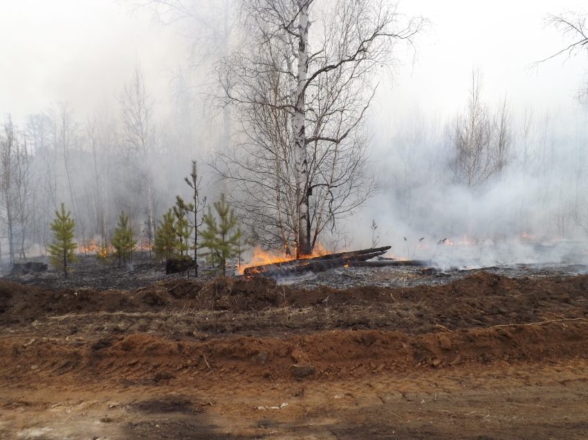 В Читинском районе Забайкалья локализован лесной пожар